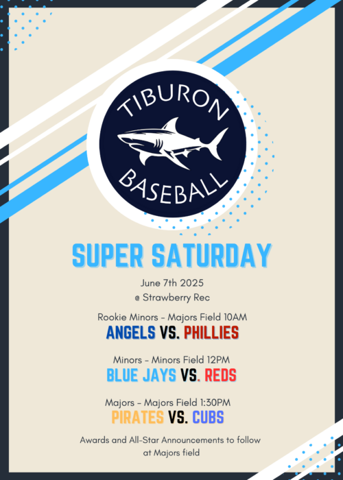 Beige Illustrated Baseball Fundraising Poster (2)